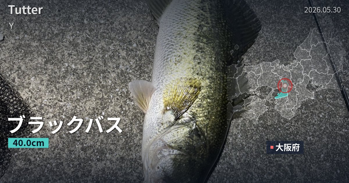 Yさんが釣り上げた40.0cmのブラックバス！ | Tutter